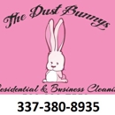 Dust Bunnys Cleaning Service - Cleaning Contractors