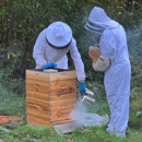 Windswept Hill Apiary - Honey