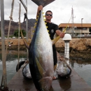 Live Bait Sport Fishing - Fishing Charters & Parties
