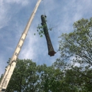 Chattanooga Tree Care - Tree Service