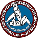 Guerrero Brazilian Jiu-Jitsu & Mixed Martial Arts - Martial Arts Instruction