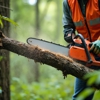 MC Tree Service gallery
