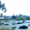 Le Bambou Del Mar gallery