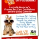 Paws Pet Care Pet Sitting & Dog Walking