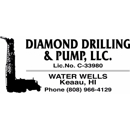 Diamond Drilling & Pump - Oil Well Drilling Mud & Additives