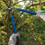 Hancock Tree Service, Inc.