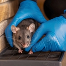 Contact Termite Pest Control - Pest Control Equipment & Supplies