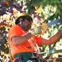 Mike's Professional Tree Service