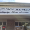 They Grow Like Weeds gallery