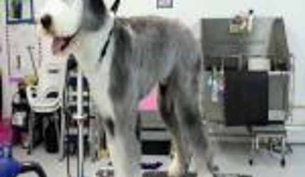 Animal Palace Pet Salon - Wellington, FL