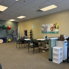 Drayer Physical Therapy Institute