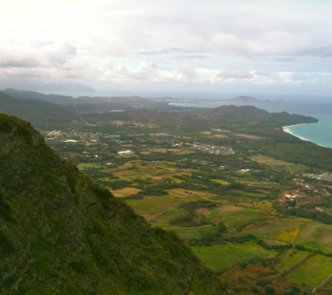 Advanced Laser Therapy & Chiropractic - Kailua, HI