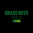 Grass Guys of Ellis - Sod & Sodding Service