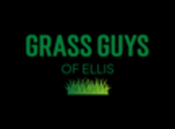 Grass Guys of Ellis - Midlothian, TX