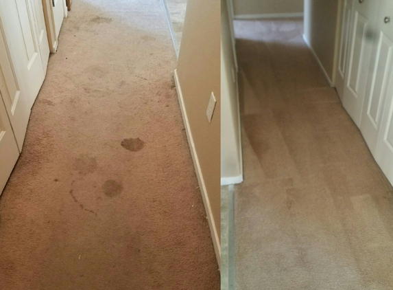 A Quality Carpet Cleaning - Reno, NV