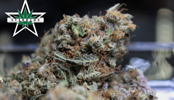 Star Buds - Westminster, CO