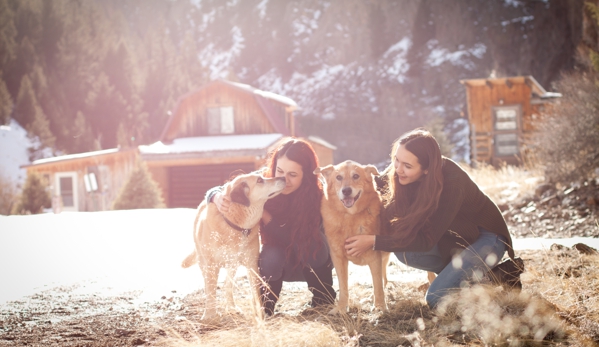 Little Elaine Photography - Creede, CO