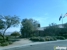 Brittlebush Bar & Grill - Bar & Grills