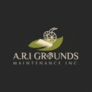 A.R.I Grounds Maintenance Inc - Tree Service