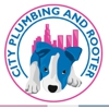City Plumbing and Rooter gallery