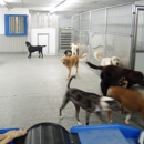 Anderson Township Family Pet Center - Kennels
