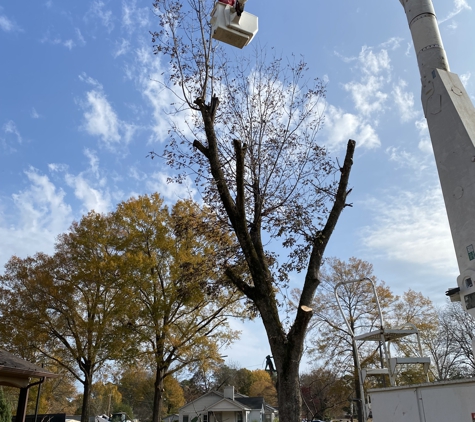 B & H Tree Service - Amory, MS