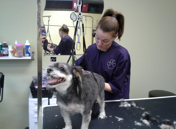 Pampered Paws Grooming LLC - Oregon City, OR