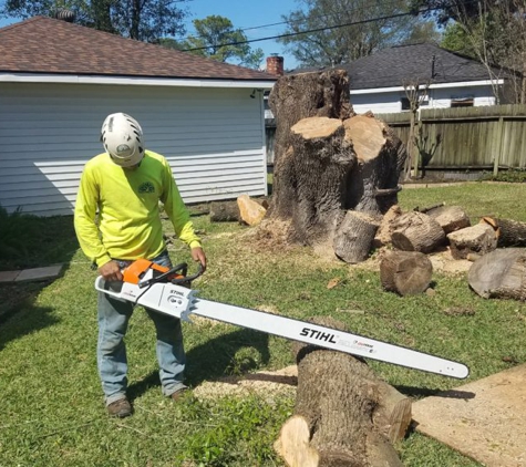 Texas Tree Team - Houston, TX