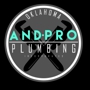 AndPro Plumbing and Drain Inc
