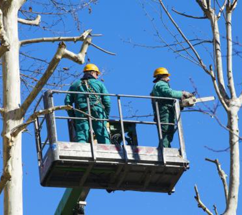 G.F. Crane Service - Franklin Park, IL