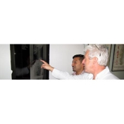 Gallery Image Number 8