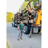 ARBORPRO TREE EXPERTS LLC gallery
