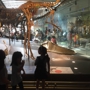 Natural History Museum of Los Angeles County