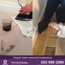 Feet Up Carpet Cleaning DC - Upholstery Cleaners