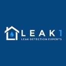 Leak 1 - Leak Detecting Service