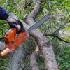 TLC Tree & Lawn Care gallery