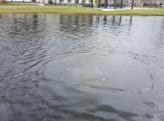 Water Feature Maintenance - Baton Rouge, LA