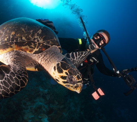 Scuba Adventures - Connellys Springs, NC