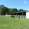 Ocala West Won Training Facility gallery