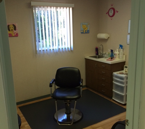 Center for Lice Removal, LLC - Pittsburgh, PA