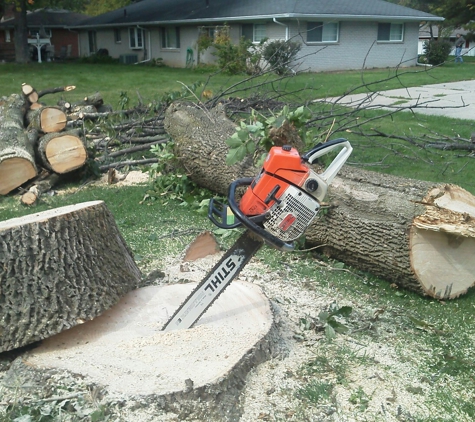 Bayer Tree Service - Swanton, OH