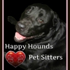 Happy Hounds Pet Sitters gallery