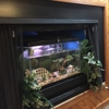 Evergreen Acupuncture & Oriental Medicine gallery