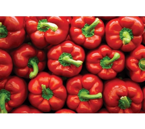 Williams Premium Wholesale - East Maitland, NSW