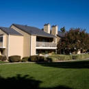 Parkview Terrace Redlands Apartments - Apartments