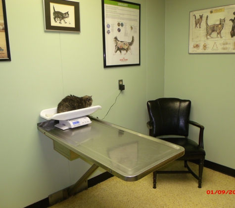 Westfield Animal Clinic - Westfield, MA