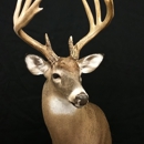 God's Country Taxidermy - Taxidermists
