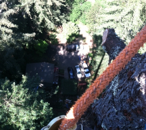 Christianson Tree Experts Co. - Boulder Creek, CA