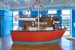Pengu Swim School - Riverstone - Swimming Instruction