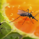 Be-Gone Pest Management - Pest Control Equipment & Supplies